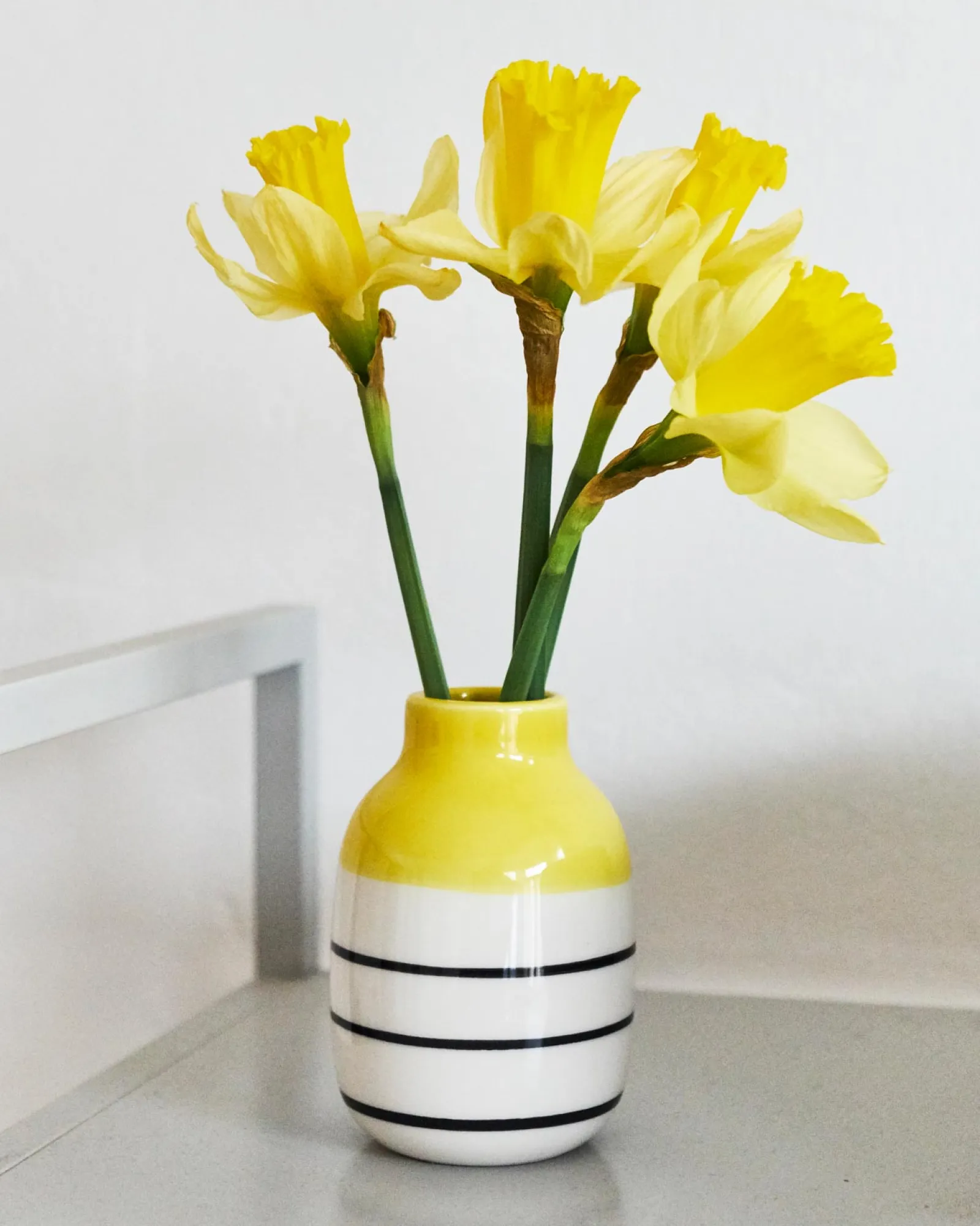 Motel a Miio Nuno Vase S* Kleine Vasen