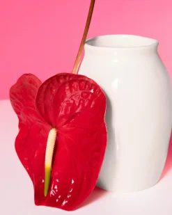 Motel a Miio Sombra Vase M* Mittlere Vasen
